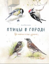Птицы в городе, Где найти и как узнать, Васильева А., 2019 Птицы в городе, Где найти и как узнать, Васильева А., 2019
