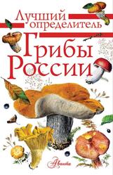 Грибы России, Определитель, Кривошеев С.В., 2021 Грибы России, Определитель, Кривошеев С.В., 2021